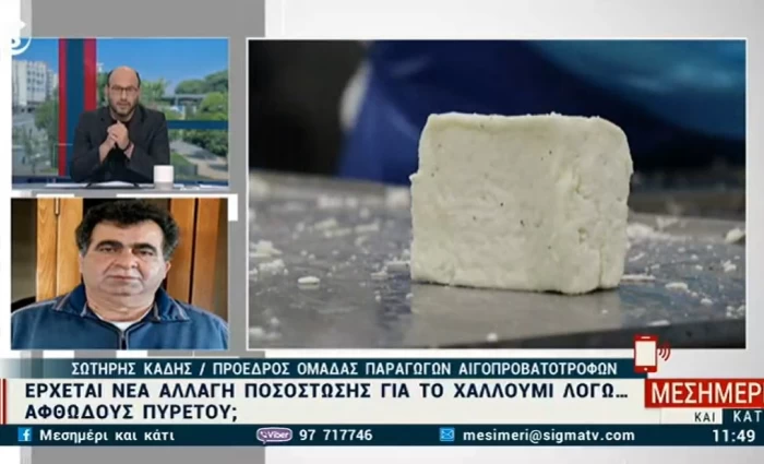 Ανησυχία για την ποσόστωση στο χαλλούμι - Τι λένε οι αιγοπροβατοτρόφοι